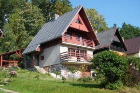 Cottage IRENA in Giant Mountains, Černý Důl